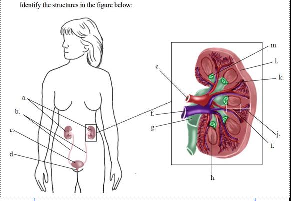 Question 8