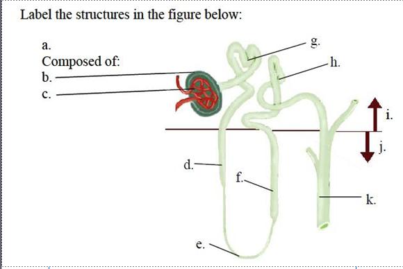 Question 13