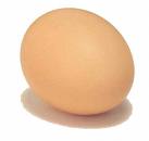 Egg - Flashcard