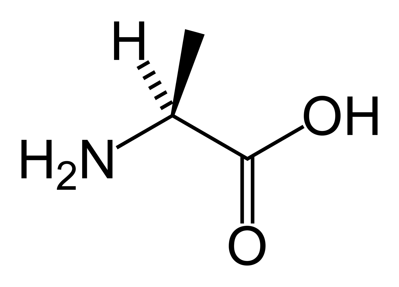 AMINO ACIDS - Flashcards