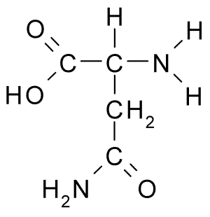 Question 3