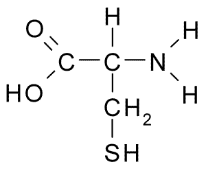 Question 5