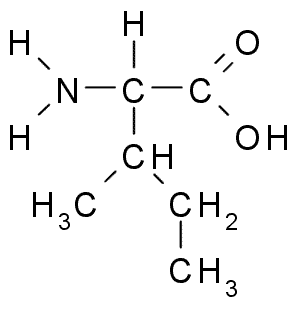 Question 10