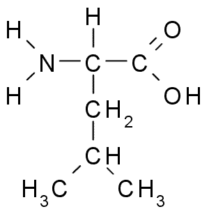 Question 11