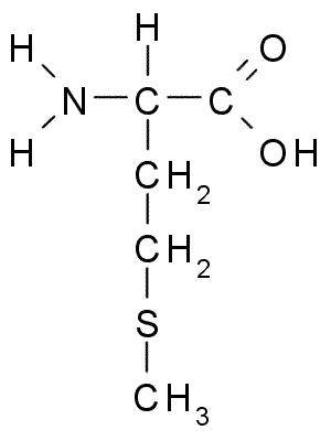 Question 13