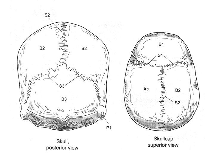 Question 9