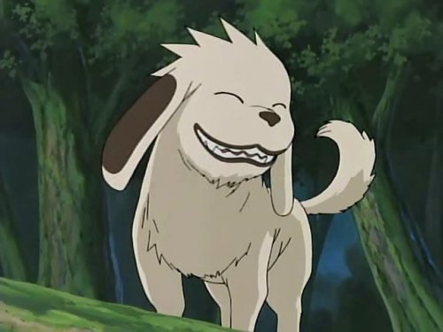 Guess The Anime - Quiz