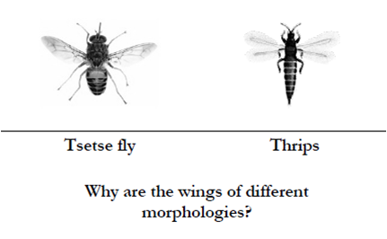 Question 3