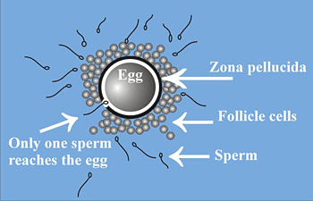 Question 12