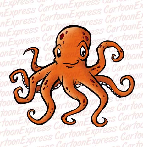 Octopus - Flashcard