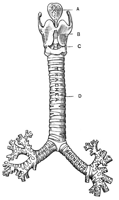 Question 4