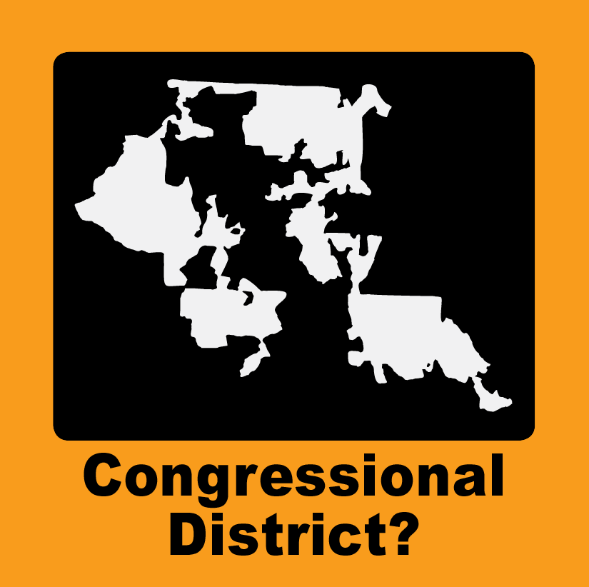 Redistricting - Flashcard