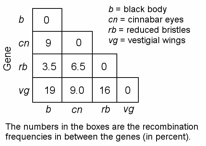 Biology Exam Chapter 15 Questions Quiz - Quiz
