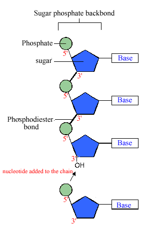 Question 2