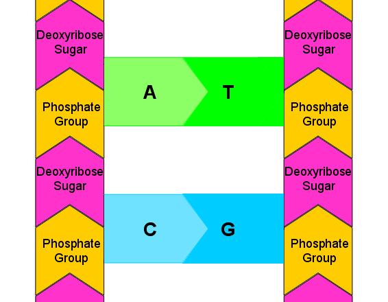 Question 8
