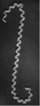 Question 9