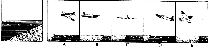 Question 9