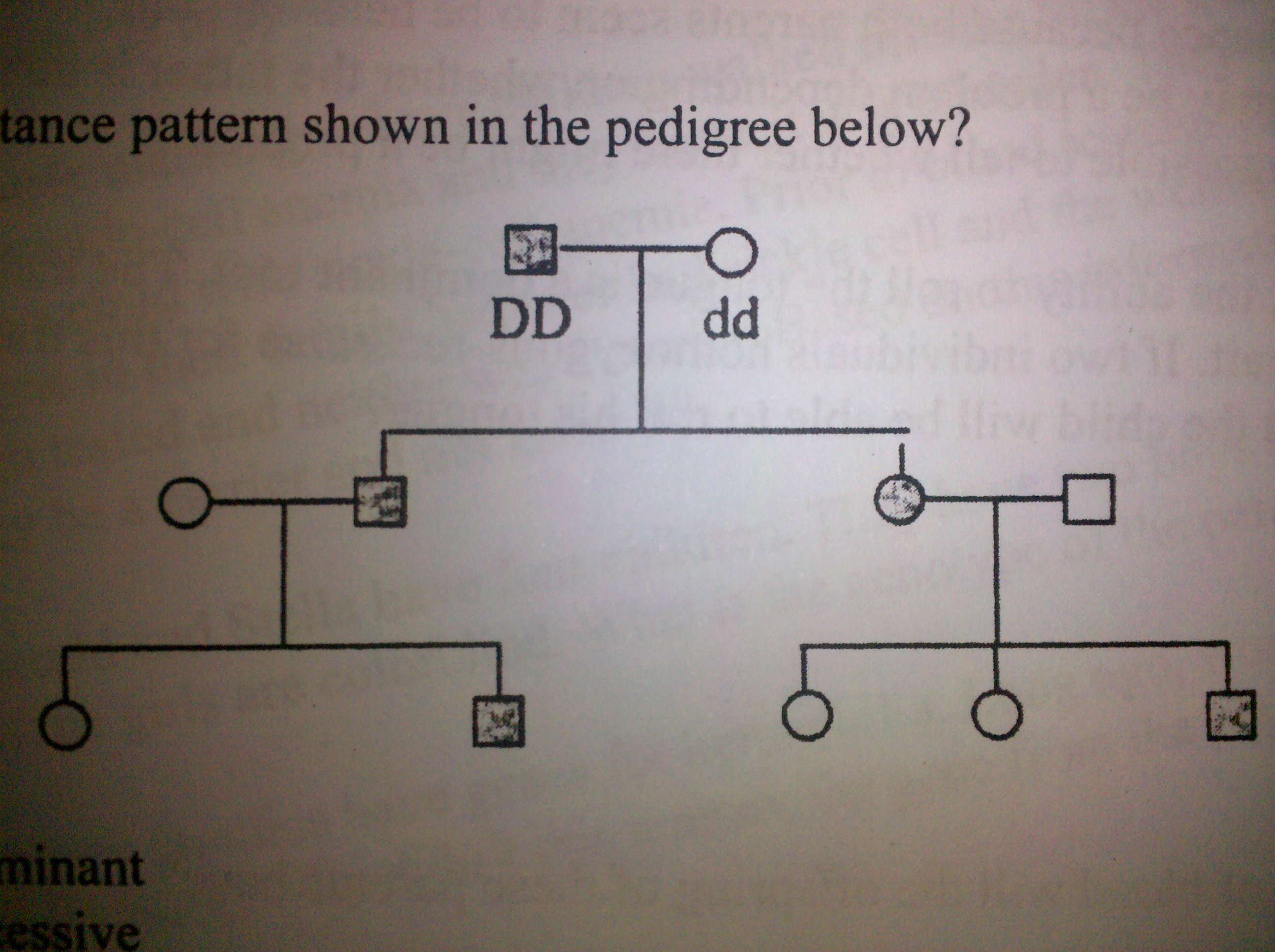 Answer Following Biology Of Genetics Quiz - Quiz