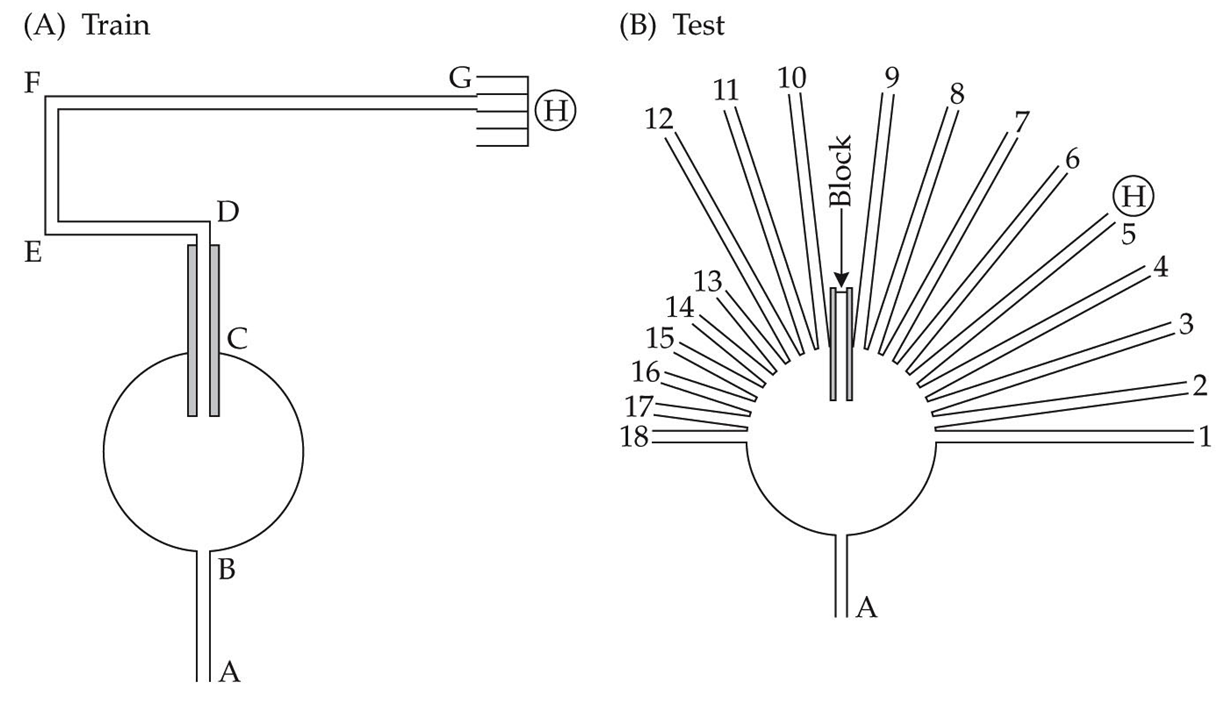 Question 8