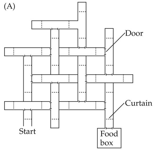 Question 10