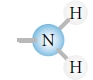 Name This Functional Group - Flashcard