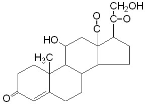 Question 6