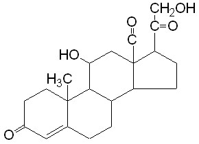 Question 6