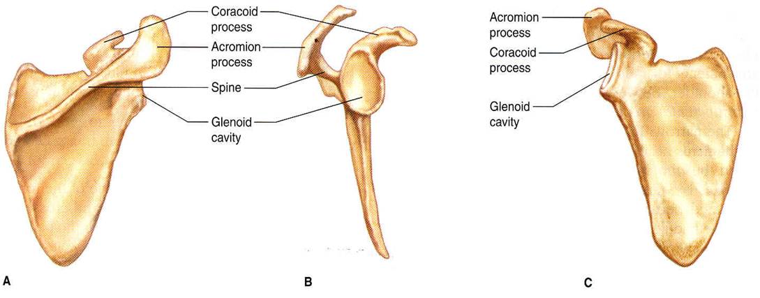 Question 4