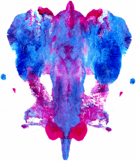 Rorschach Inkblot Test
(Figure 2.13 &nb... - Flashcard