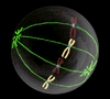 

Spindle Fibers Align The Chromosomes Alon... - Flashcard