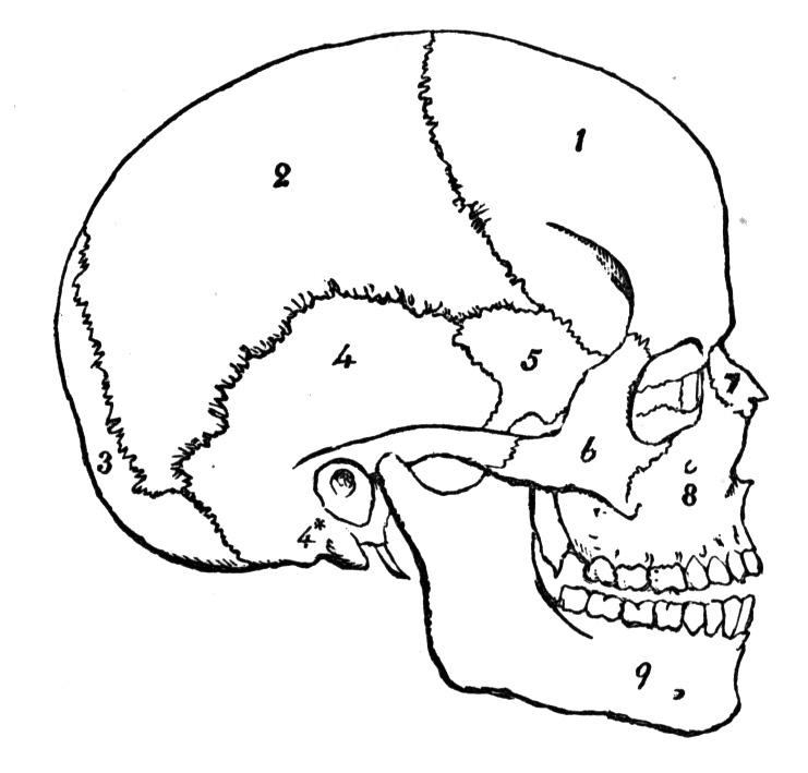 Identify Number 1 - Flashcard