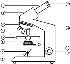 Microscope Parts - Flashcards