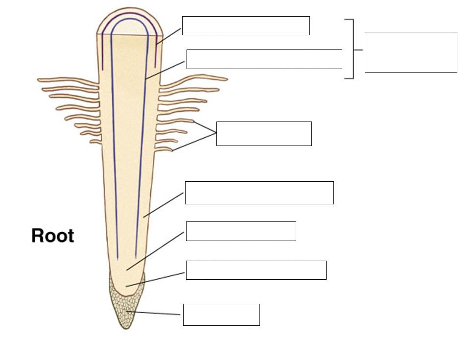 3 - Flashcard