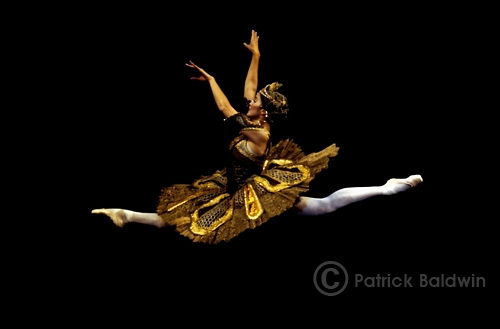 Can You Identify Following Ballet Dance Moves Flashcards - Flashcards