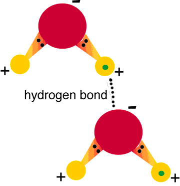 Introduction Human Biology 107 Quiz - Quiz