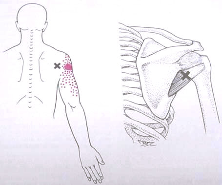 Question 10