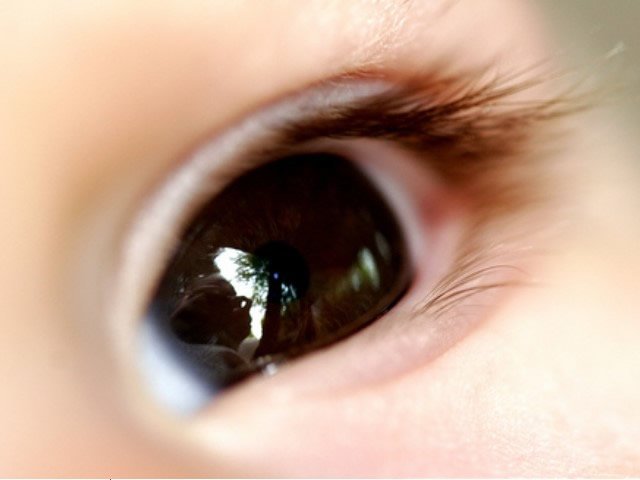 Eye - Flashcard