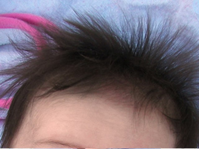 Hair - Flashcard