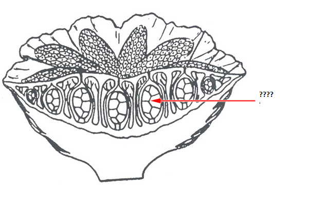 Question 4