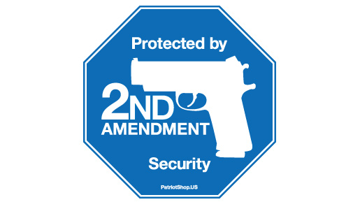 Amendment 2 - Flashcard