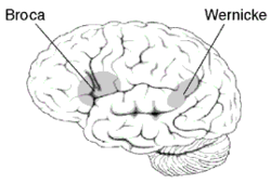 Question 6