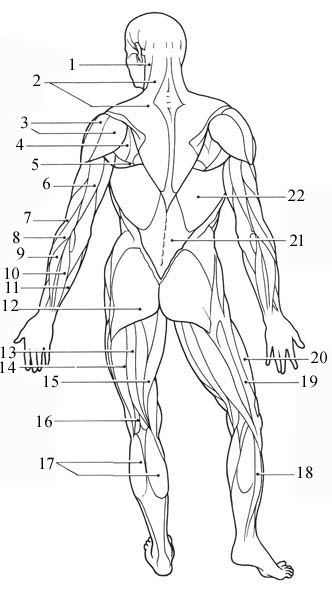 Question 14