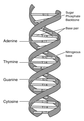 Question 8