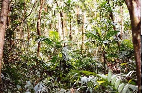 Ecology Quiz!!!!!!! - Quiz