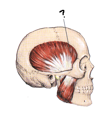 Question 6