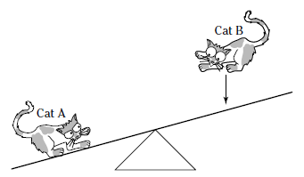 Looking At The Figure Below, When Cat B Lands... - Flashcard