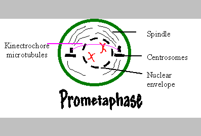 Question 6