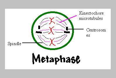 Question 7