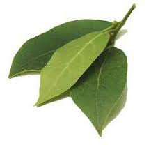 Bay Leaves - Flashcard