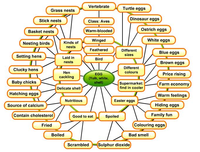 A Keyword Within Cognitive Theory - An Elabor... - Flashcard